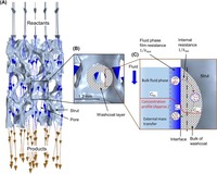 Graphical abstract of "A simplified CFD approach for modeling mass transport in catalytic open-cell foams"