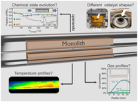 Diagram of catalyst shapes, chemical states, temperature, and gas profiles on a monolith.