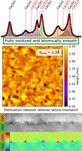 Graphical abstract of "Atomically Smooth Fully Hydroxylated CeO2(001) Films on YSZ(001)"