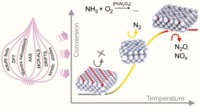 Graphical abstract of publication "Surface States Governing the Activity and Selectivity of Pt-Based Ammonia Slip Catalysts for Selective Ammonia Oxidation"