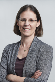 Image of Prof. Dr. Stefanie Dehnen