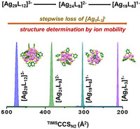Graphical abstract of the publication